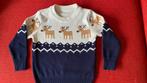 KERST/WINTER trui maat 100, Kinderen en Baby's, Kinderkleding | Maat 98, Ophalen of Verzenden, Zo goed als nieuw, Jongen of Meisje