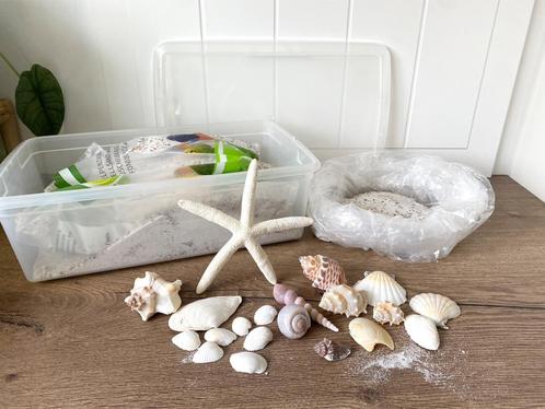 Schelpen zand en schelpen decoratie, Huis en Inrichting, Woonaccessoires | Stolpen, Zo goed als nieuw, Ophalen of Verzenden