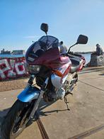 Yamaha TDM 850 2002. Seizoens klaar, grote beurt gehad, Motoren, Motoren | Yamaha, Bedrijf