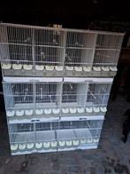 Broedkooien, Dieren en Toebehoren, Ophalen, Hout, Broedkooi of Kweekkooi