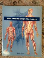 Het menselijk lichaam, Ophalen of Verzenden, Beta, Zo goed als nieuw, MBO