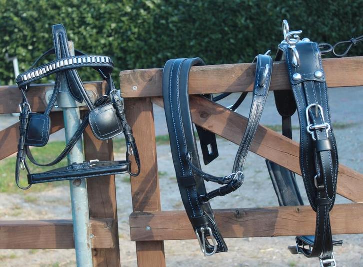Te koop Mini shetlander mentuig zwart blauw doorstikt nieuw, Dieren en Toebehoren, Paarden en Pony's | Hoofdstellen en Tuigage