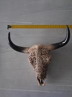 Decoratieve schedel van een stier, Ophalen of Verzenden