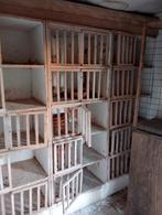 Prima goed te demonteren houten duivenhok, Dieren en Toebehoren, Vogels | Duiven, Postduif