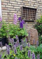 Oude bijenkorf, Ophalen of Verzenden, Gebruikt