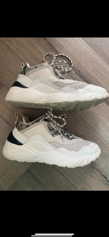 Steve madden sneakers gympen schoeben 39 ZIE FOTOS !!! beschikbaar voor biedingen