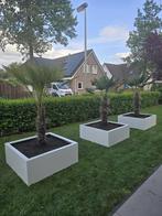 Plantenbakken, Tuin en Terras, Bloembakken en Plantenbakken, Info@plantenbakkenvanstaal.nl, 3319ek, Vierkant, Nieuw
