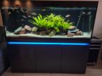 Mooi groot aquarium van eheim, Dieren en Toebehoren, Ophalen, Zo goed als nieuw, Leeg aquarium