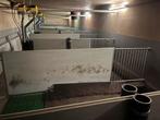 Stal inrichting varkens, Dieren en Toebehoren, Schapen, Geiten en Varkens, Meerdere dieren, Varken