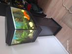 AQUARIUM 60X40X30, Dieren en Toebehoren, Vissen | Aquaria en Toebehoren, Ophalen, Zo goed als nieuw, Leeg aquarium
