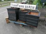 zwarte plantenbak plantenbakken, Ophalen, Minder dan 60 cm, Nieuw, Rechthoekig