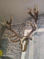 Zeer Groot Gewei hij is van kunstof dus kan best buiten, Verzamelen, Dierenverzamelingen, Ophalen, Hert, Beeldje of Figuurtje