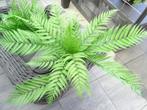 4 stuks mooie grote volle UV bestendig kunstvarens 40.00, Tuin en Terras, Planten | Tuinplanten, Varens, Vaste plant, Ophalen of Verzenden