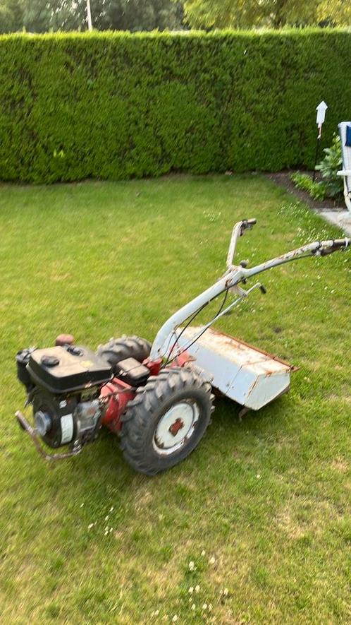 Tuinfrees grondfrees frees, Tuin en Terras, Hand-tuingereedschap, Gebruikt, Overige soorten, Ophalen