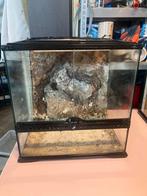 Leuke terrarium, Dieren en Toebehoren, Reptielen en Amfibieën | Toebehoren, Ophalen of Verzenden