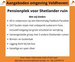 Ruimte voor een shetlander ruintje, Dieren en Toebehoren, Stalling en Weidegang, Weidegang, 1 paard of pony