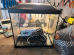 Aquarium, Ophalen, Zo goed als nieuw, Leeg aquarium