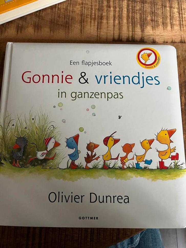 Gonnie & vriendjes in ganzenpas - Flapjesboek, Boeken, Kinderboeken | Baby's en Peuters, Zo goed als nieuw, 2 tot 3 jaar, Uitklap-, Voel- of Ontdekboek