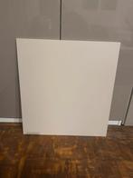 Besta kastdeur 60 x 64, Ophalen, Zo goed als nieuw