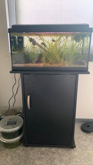 Mooi aqarium te koop. beschikbaar voor biedingen