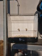 Vogelhok, Dieren en Toebehoren, Ophalen, Gebruikt, Vogelkooi