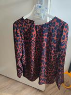 Blouse van circle of trust in maat M, Kleding | Dames, Blouses en Tunieken, Circle of Trust, Ophalen of Verzenden, Gedragen, Maat 38/40 (M)