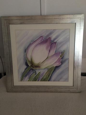 Aquarel tulp Coos Aardema