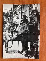 Middelburg - Ringrijden. Paard met koets., Ophalen of Verzenden, Ongelopen, Zeeland