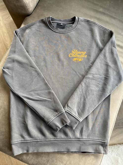 Zgan Ashes to Dust Trui Grijs Maat M, Kleding | Heren, Truien en Vesten, Zo goed als nieuw, Maat 48/50 (M), Grijs, Ophalen