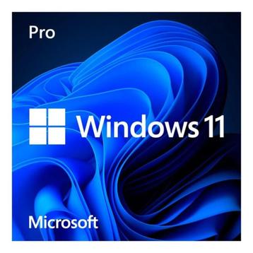 Windows 11 Pro Licentie Key beschikbaar voor biedingen