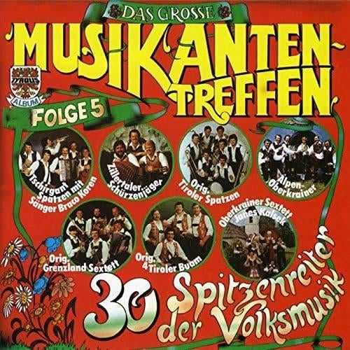 Das Grosse Musikantentreffen - Folge 5  Originele CD Nieuw., Ophalen of Verzenden, Nieuw in verpakking, Boxset