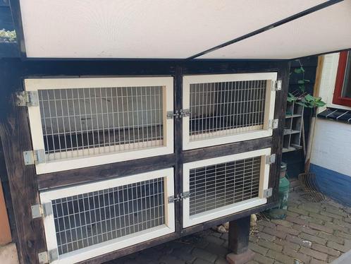 Konijnen hok, Dieren en Toebehoren, Vogels | Hokken en Kooien, Zo goed als nieuw, Hout, Ophalen