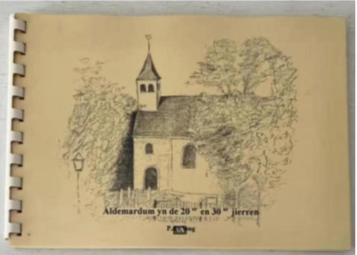 Aldemardum yn de 20er en 30er jierren, Boeken, Geschiedenis | Stad en Regio, Zo goed als nieuw, 20e eeuw of later, Ophalen of Verzenden