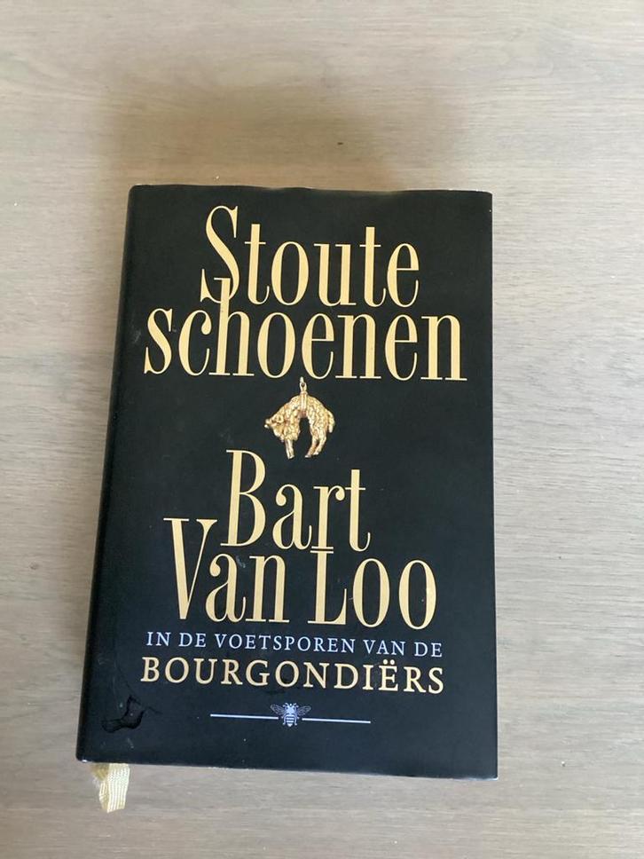 Bart van Loo - Stoute schoenen, Boeken, Overige Boeken, Zo goed als nieuw, Ophalen of Verzenden