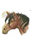 BORDUURPATROON EVA ROSENSTAND PAARDENHOOFD, Verzenden, Gebruikt, Handborduren, Patroon