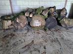 Openhaardhout, Tuin en Terras, Haardhout, Minder dan 3 m³, Ophalen, Overige houtsoorten, Blokken