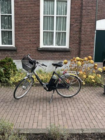 Gazelle Easyglider - Goed Onderhouden beschikbaar voor biedingen