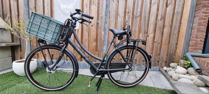 Cortina U4 Solid ND7 – D57 – Eclips Black Matt – 7 versnelli, Fietsen en Brommers, Fietsen | Dames | Omafietsen, Gebruikt, 56 cm of meer