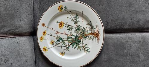 7 dinerborden Villeroy & Boch, Huis en Inrichting, Keuken | Servies, Nieuw, Bord(en), Overige stijlen, Porselein, Ophalen of Verzenden