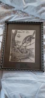 Kuno Brinks   Hogerige Kelen, Ophalen of Verzenden