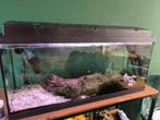 Aquarium + inhoud + sterke pomp en veel accessoires, Ophalen, Zo goed als nieuw, Gevuld zoetwateraquarium