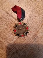 Vastelaovend medailles wijk verenigingen, Ophalen of Verzenden, Overige materialen