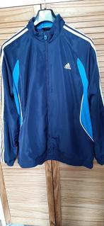 trainingspak ADIDAS, Sport en Fitness, Voetbal, Trainingspak, Ophalen of Verzenden, Zo goed als nieuw, Maat L