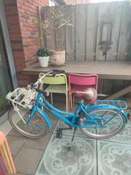 Alpina meisjesfiets cargo, Fietsen en Brommers, Ophalen, 22 inch, Alpina, Handrem