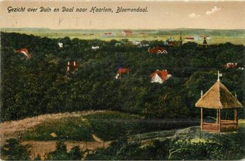 (388-487-017) Bloemendaal beschikbaar voor biedingen