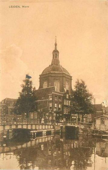 (377-297-001) Leiden  Mare beschikbaar voor biedingen