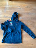 Kleding max verstappen, Puma, Ophalen of Verzenden, Zo goed als nieuw, Maat 48/50 (M)