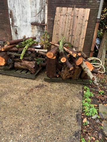 Openhaardhout ca. 2m3 - Mix Houtsoorten beschikbaar voor biedingen