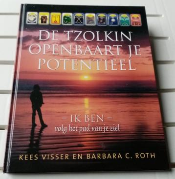 DE TZOLKIN OPENBAART JE POTENTIEEL. Volg het pad van je ziel beschikbaar voor biedingen