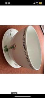 Planten bak kop en schotel, Ophalen, Halfschaduw, Minder dan 100 cm